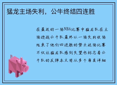 猛龙主场失利，公牛终结四连胜